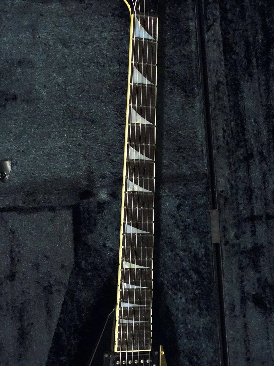 ランディ・ローズ V！: 『G』-Life